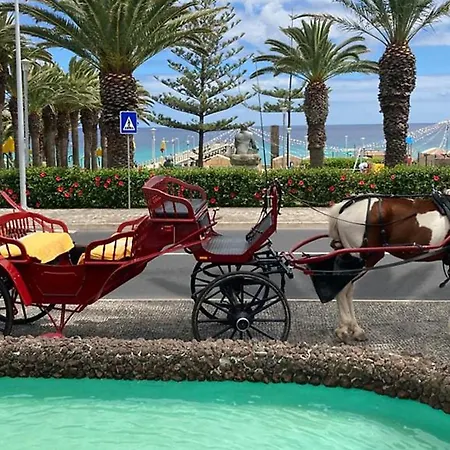 Apartamento Sea And Sun 4 You - T0 Porto Santo